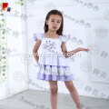 children clothes embroidered boutique clothing set